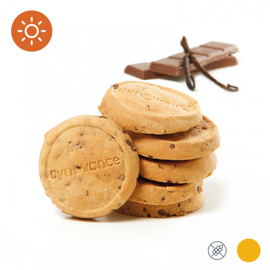 GALLETAS CON CHISPAS DE CHOCOLATE OSCURO GALLETAS CON CHISPAS DE CHOCOLATE OSCURO